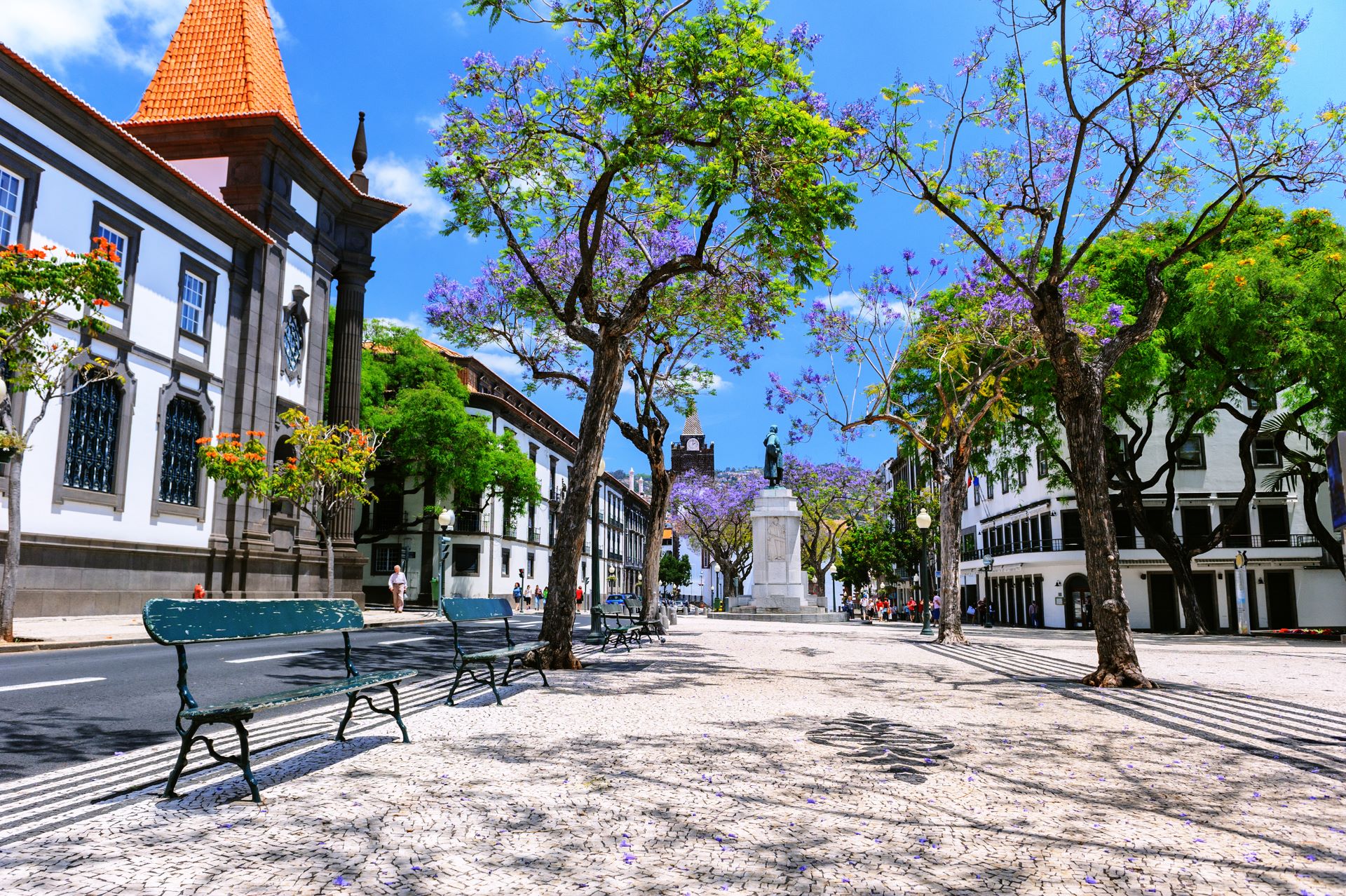 afternoon city square